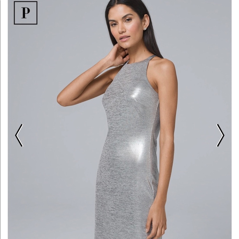 WHBM Silver dress